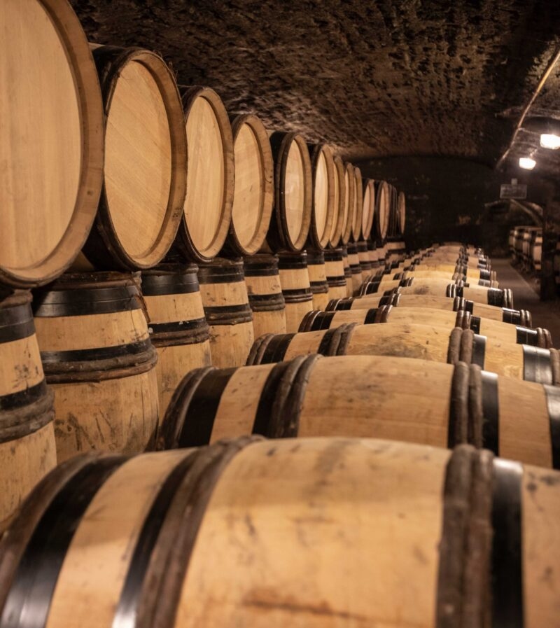 Barrels of wine in an underground cellar