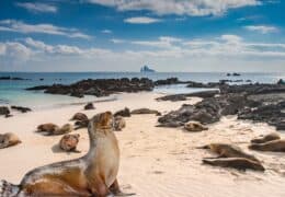 Family Galápagos and Machu Picchu Adventure