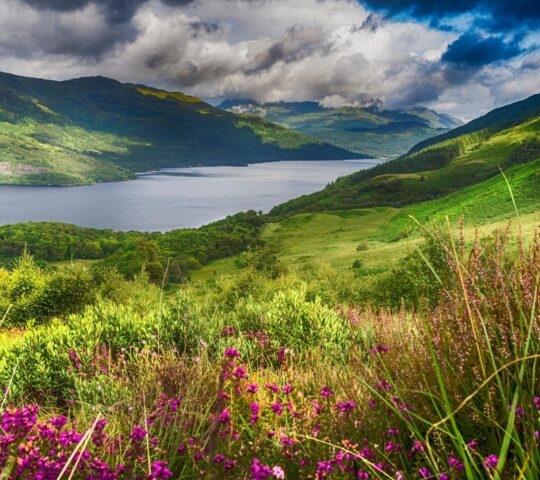 Loch Lomond from the Slopes of Ben Lomond