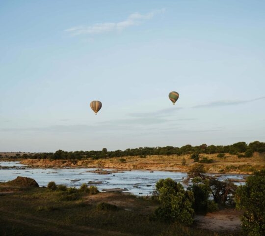 Two hot air balloons can be seen in the clear blue sky, floating above the Serengeti