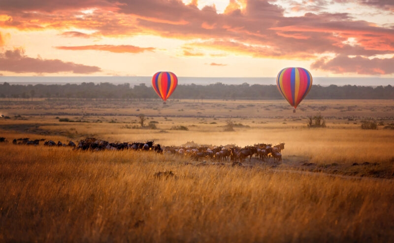 Two striped hot air balloons fly over a grassy plain with a herd of animals at sunset on a luxury Africa tour