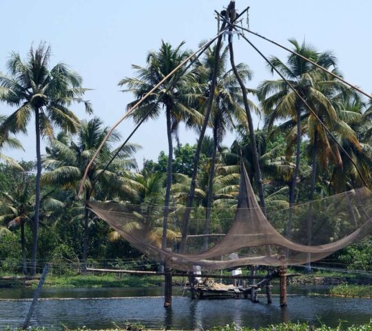 A large suspended fishing net over a large body of inland water, with a row of palm trees behind