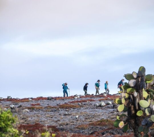 Travellers trekking across the rocky landscape of Islas Plaza, the Galapagos Islands, Ecuador