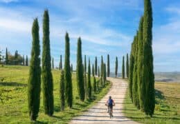 Positive Impact in Italy