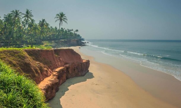 View of the golden sands of Varkala beach, Kerala, India, with palm tree forest on the hill overlooking the sea