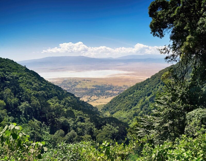 A panoramic view of the crater floor and lake from the forested rim during a luxury Ngorongoro Crater safari.