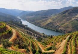 Portugal for Food and Wine Lovers