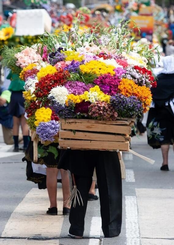 A person from behind carries a large wooden crate filled with vibrant, multi-colored flowers.