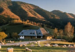 Matca Transylvanian Sanctuary