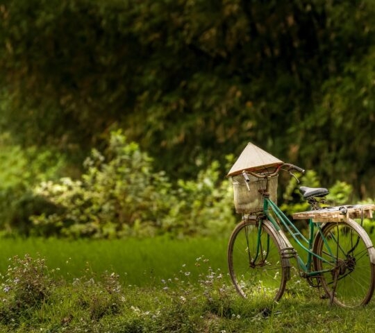 A cycling tour through the rice fields of Mai Chau in Vietnam