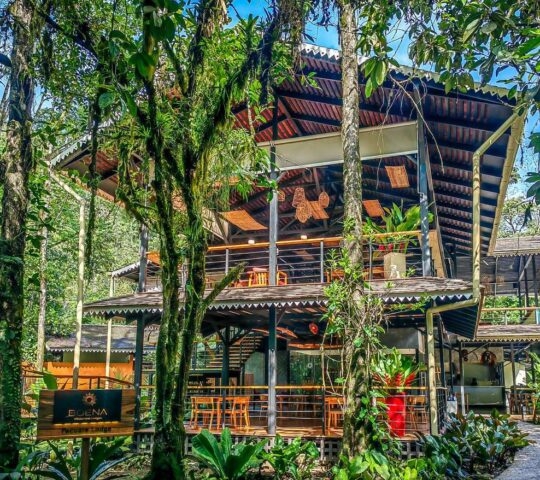 Pacuare Lodge amid the trees