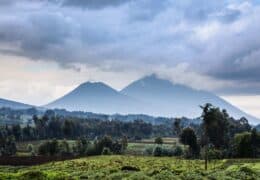 Rwanda Gorilla Trekking and a Maasai Mara Safari