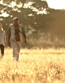 A Zambian Walking Safari