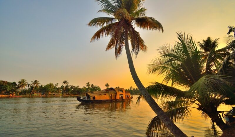 Palm trees sloping over a river and houseboat at sunrise over a Kerala river