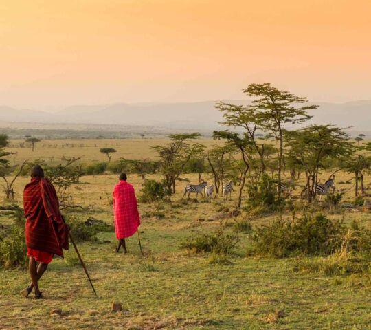 Two Maasai men leading a bush walk through the savannah
