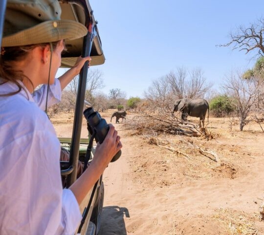 A traveler watching an elephant out of a Jeep at a safari in Africa