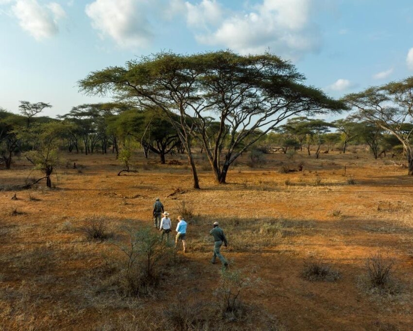 A walking safari at Singita Pamushana in Malilangwe Wildlife Reserve, Zimbabwe