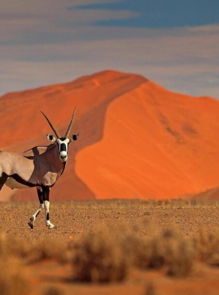 Remote Travel Locations Around the World