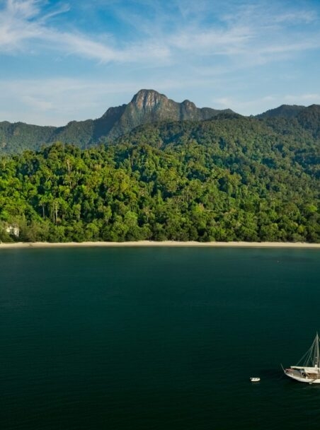 The Best Rainforest and Jungle Lodge Hotels Around the World