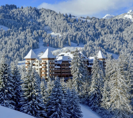 A view of the Alpina and surrounding forests covered in now, Gstaad, Switzerland