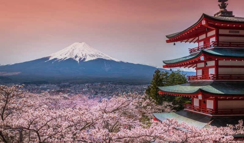 The red Chureito Pagoda and Mount Fuji surrounded by cherry blossoms on luxury Asia grand tour vacations.
