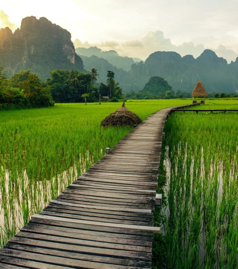 A long wooden walkway over a lush green rice field with misty mountains during luxury Asia grand tours.
