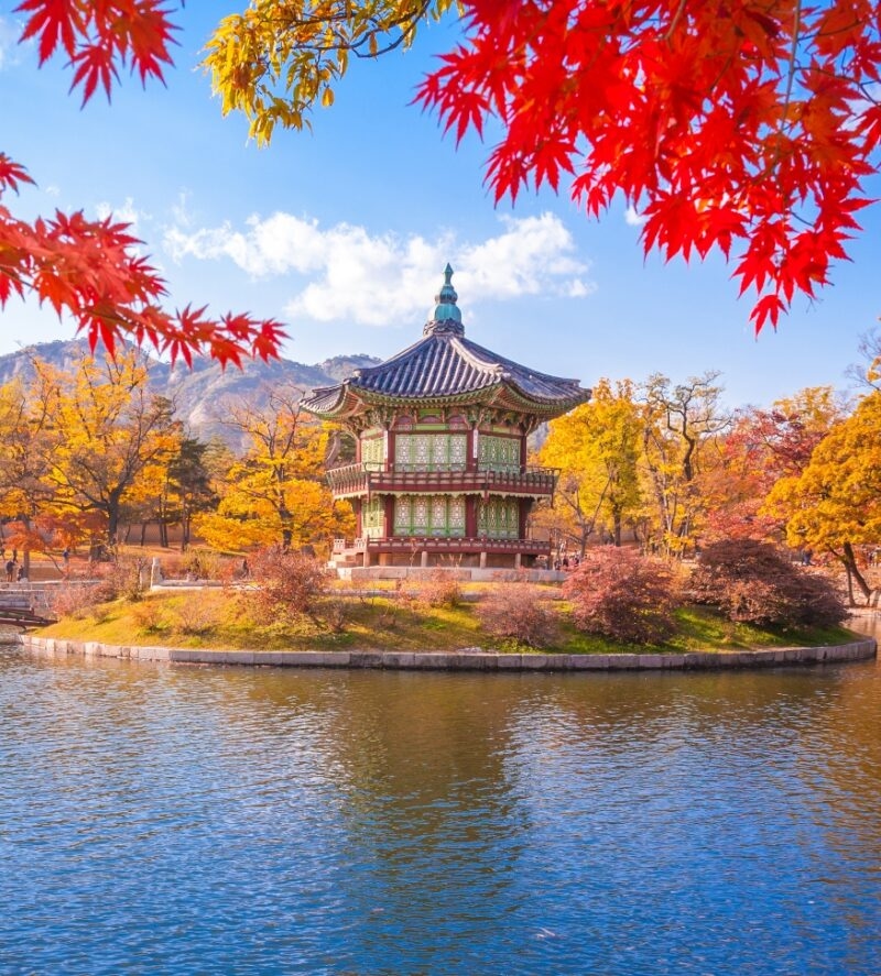 A Korean pavilion in a pond framed by vibrant red autumn maple leaves during luxury Asia grand tours.