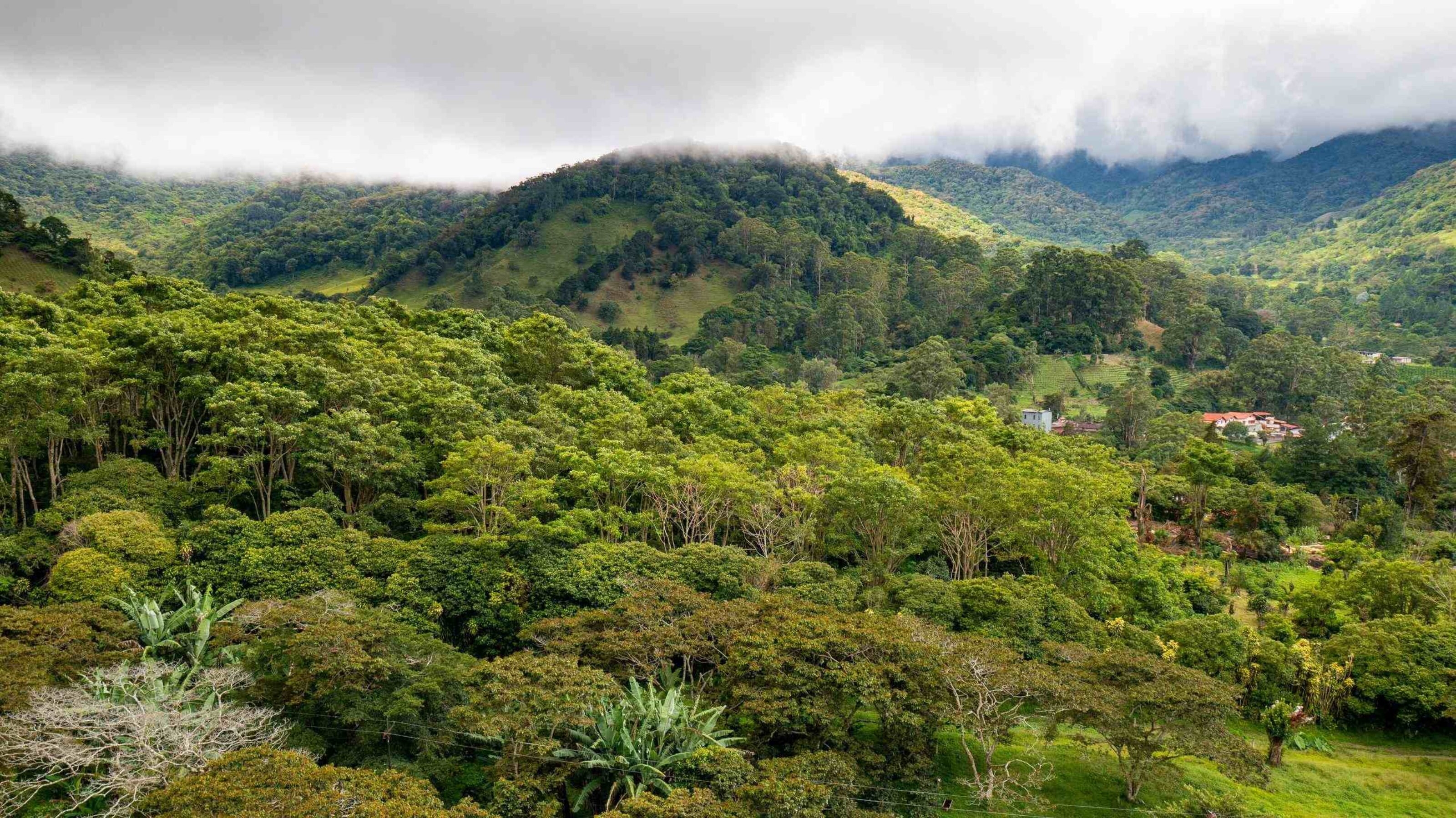 Boquete in the Chiriqui province of western Panama.