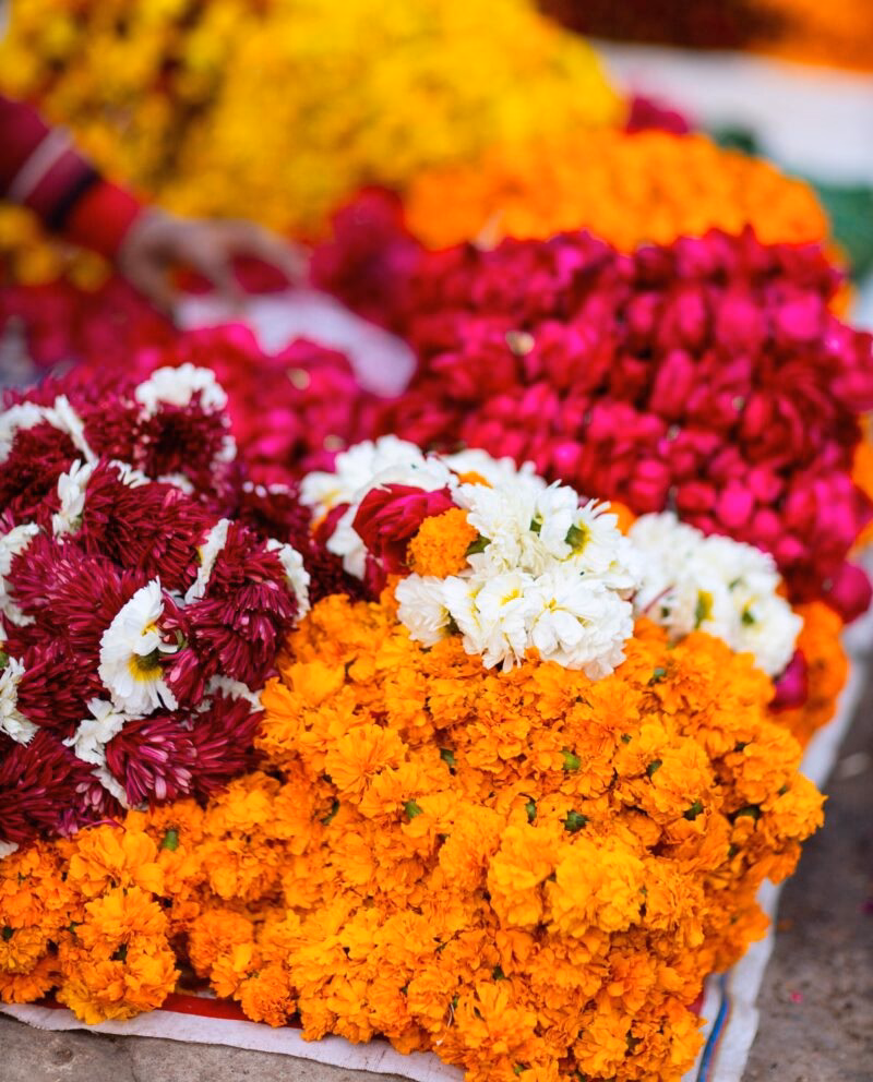 Many marigold flower buds at outdoor market in Jaipur India