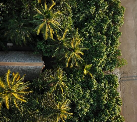 Aerial view of a beachside casita on Isla Palenque, Panama