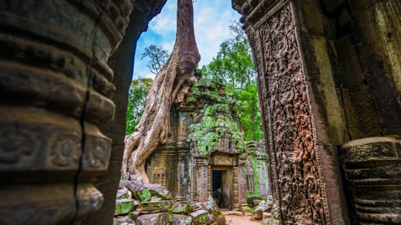 Entrance to the world famous heritage in Angkor Wat - Ta Prohm
