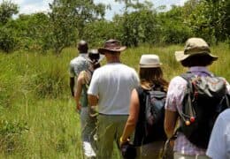 A Luxury Kenya Walking Safari