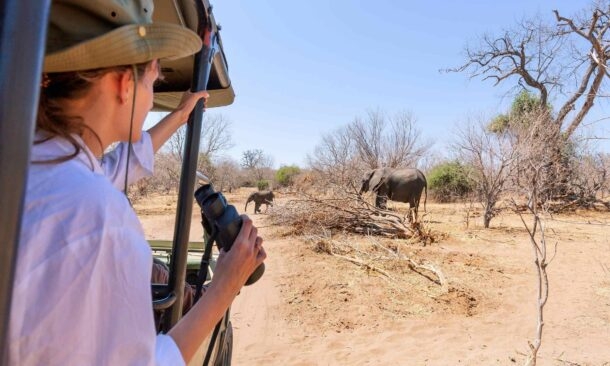 Watching an elephant really close out of a Jeep at a safari in Namibia.