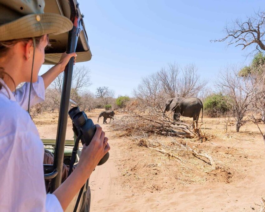 Watching an elephant really close out of a Jeep at a safari in Namibia.