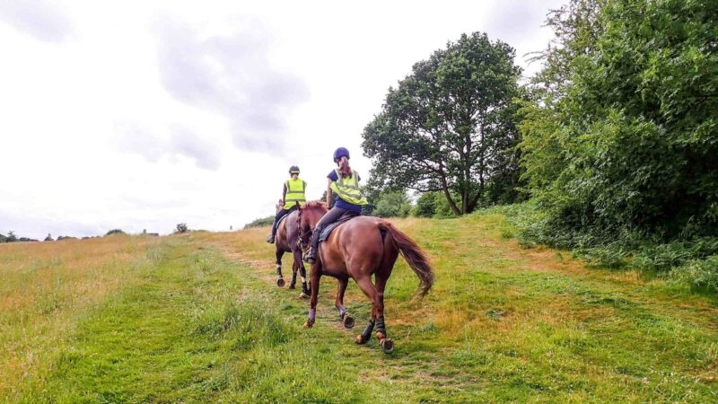 Two women horse riding on Chorleywood Common, Hertfordshire