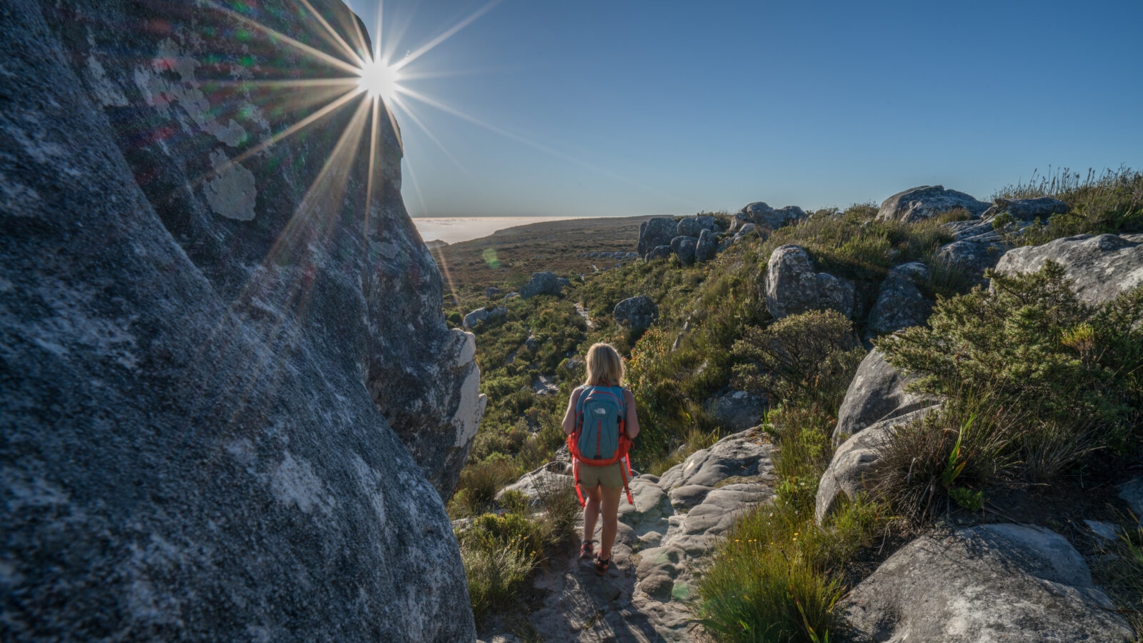 Young woman in Cape Town on top of mountain looking at view