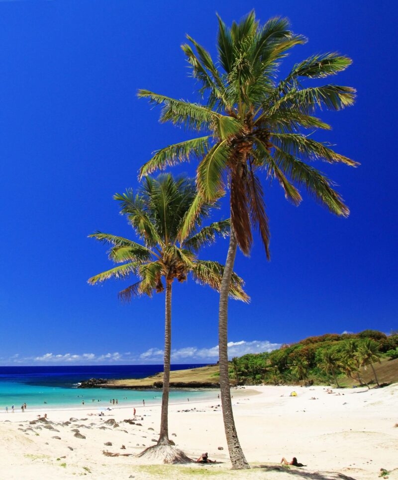 Anakena beach on Rapa Nui, Easter island