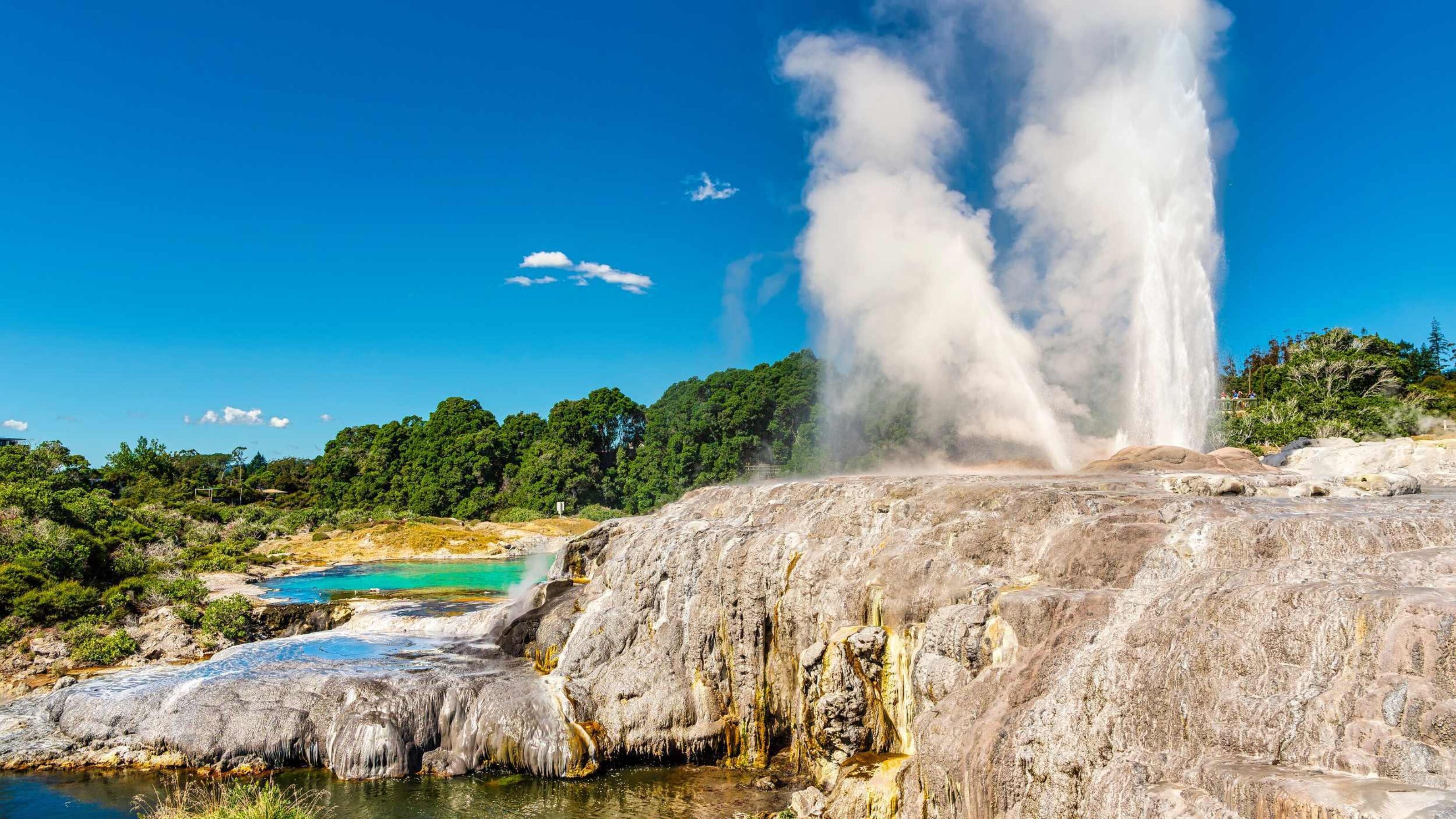 Te Puia Geyser in Rotorua, North Island, New Zealand