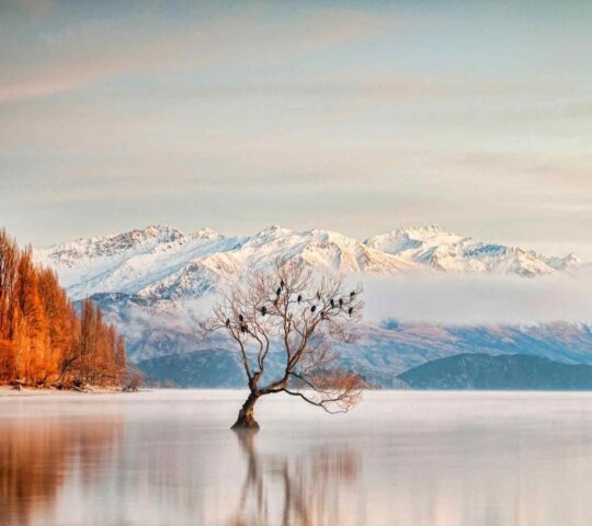 An autumnal view of Lake Wanaka and snow–capped peaks, New Zealand