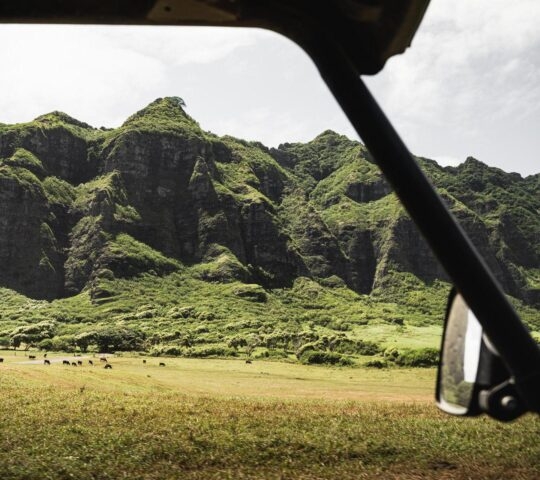 A view of green, rocky landscapes from inside an ATV
