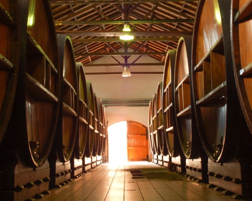 old wooden barrels in Mendoza winery