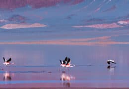 Adventure Across Northwest Argentina