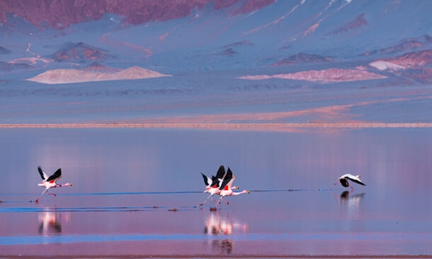 Adventure Across Northwest Argentina