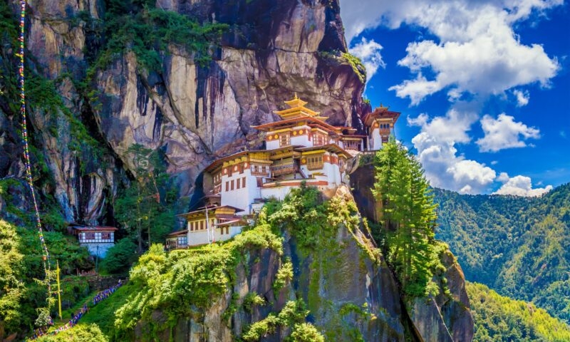 Picnic with glasses of white wine on a vineyard. Two glasses of white wine, cheese, bread, grape, berries, melon.