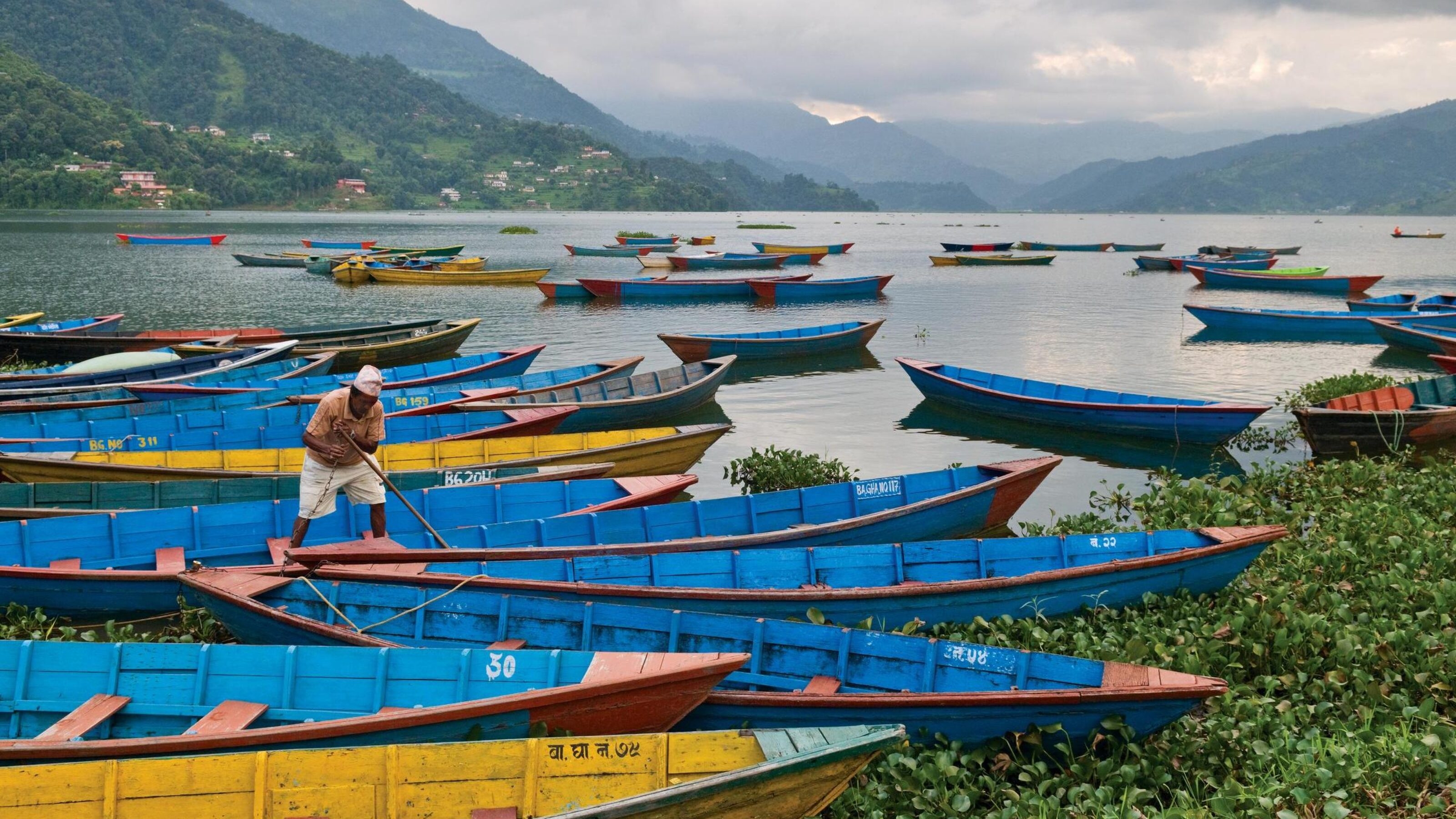 Many blue boats on the Phewa-Tal lake in Pokhara