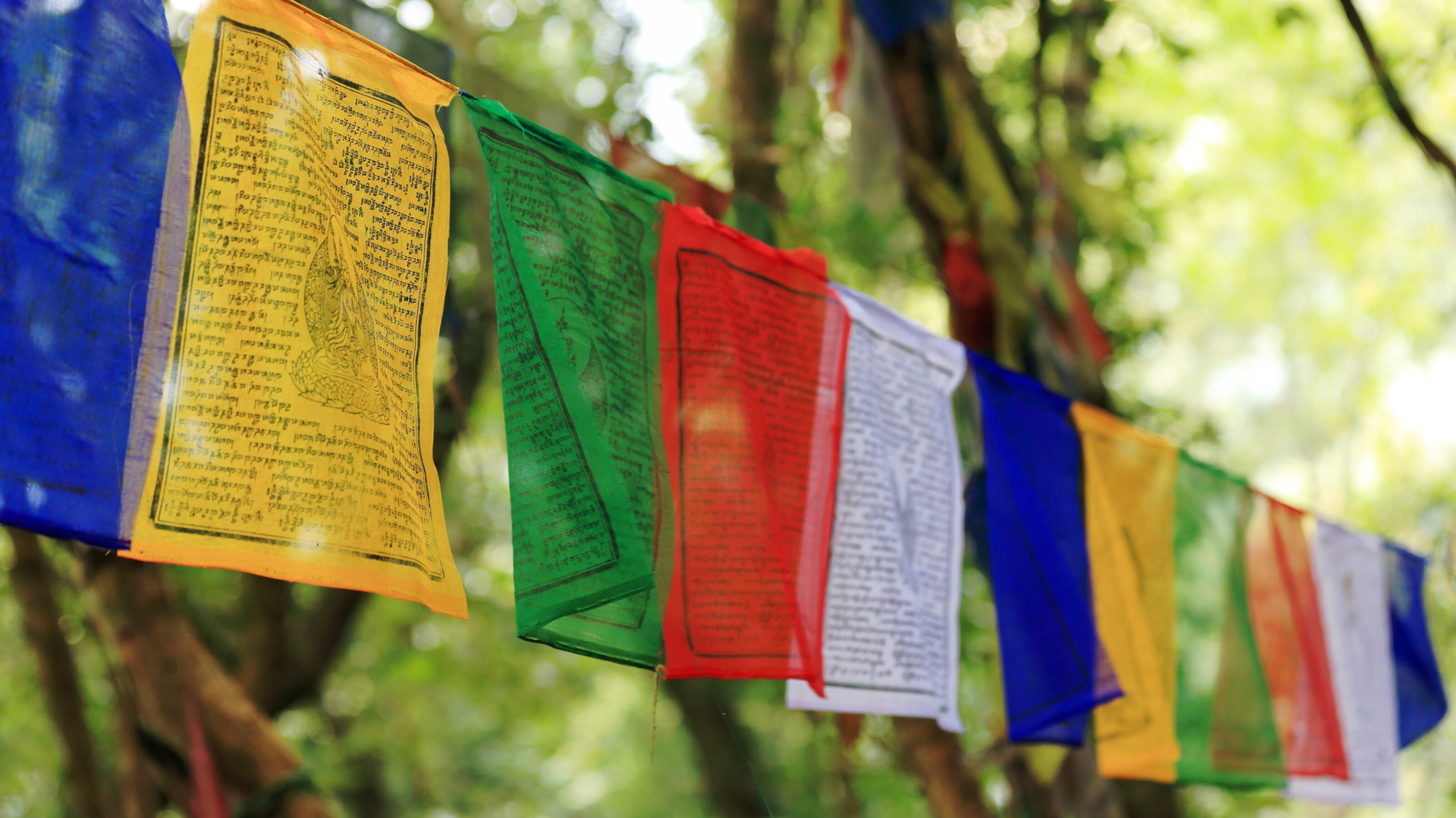 Colorful Tibetan prayer flags with script, hanging in a sunlit forest.