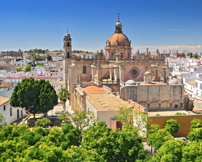 A panoramic view of a historic cathedral with domes amid a sunny cityscape surrounded by green trees.