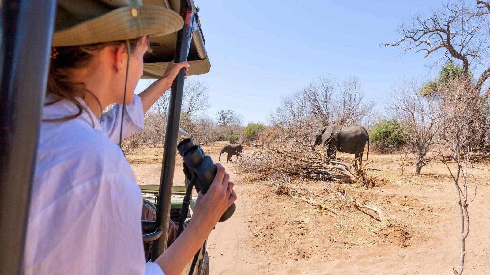 A woman with binoculars watching elephants from a safari vehicle