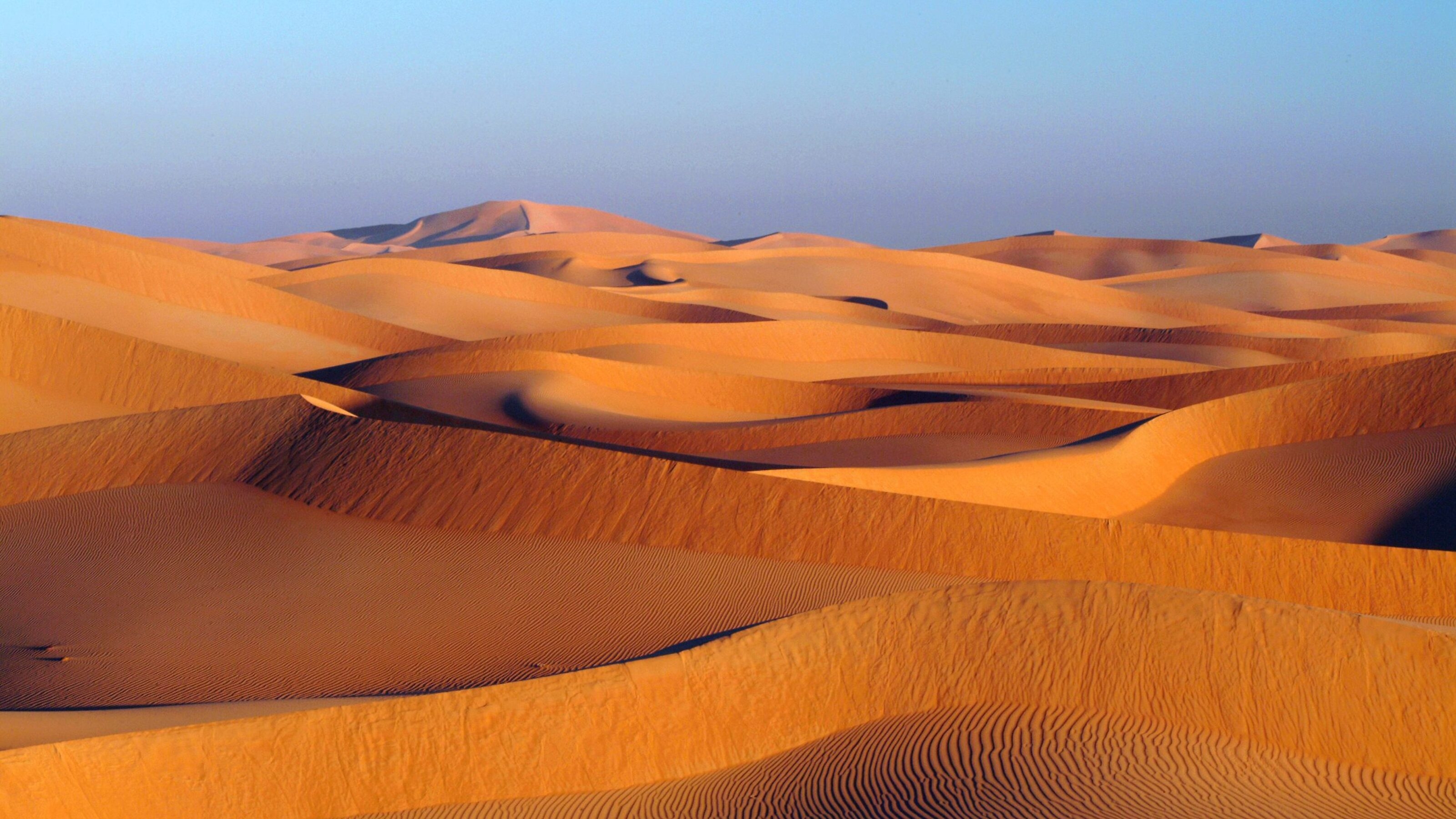 Sand dunes in the Omani desert