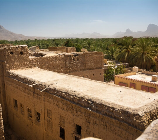 Houses and plam trees in the village of Al Hamra, Oman